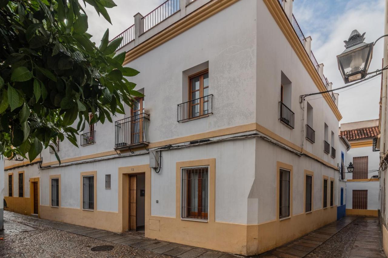 Apartament Tazas